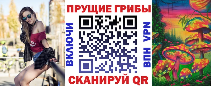 как найти наркотики  Сорочинск  Псилоцибиновые грибы GOLDEN TEACHER 